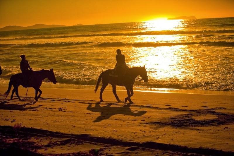 Horse riding on the beach