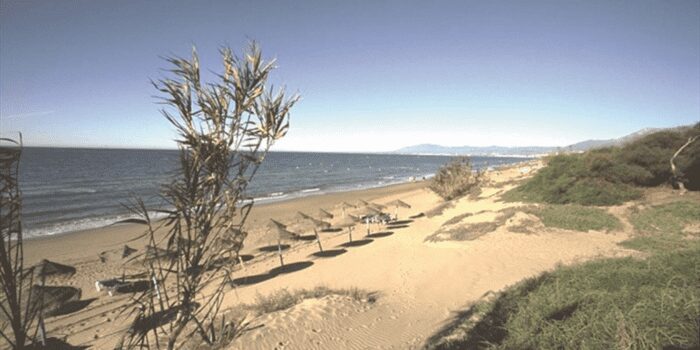 Alicate Beach Marbella